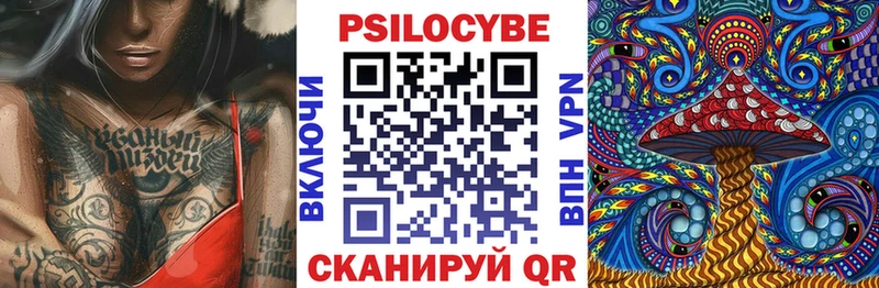 Купить где Нижние Серги Псилоцибиновые грибы GOLDEN TEACHER